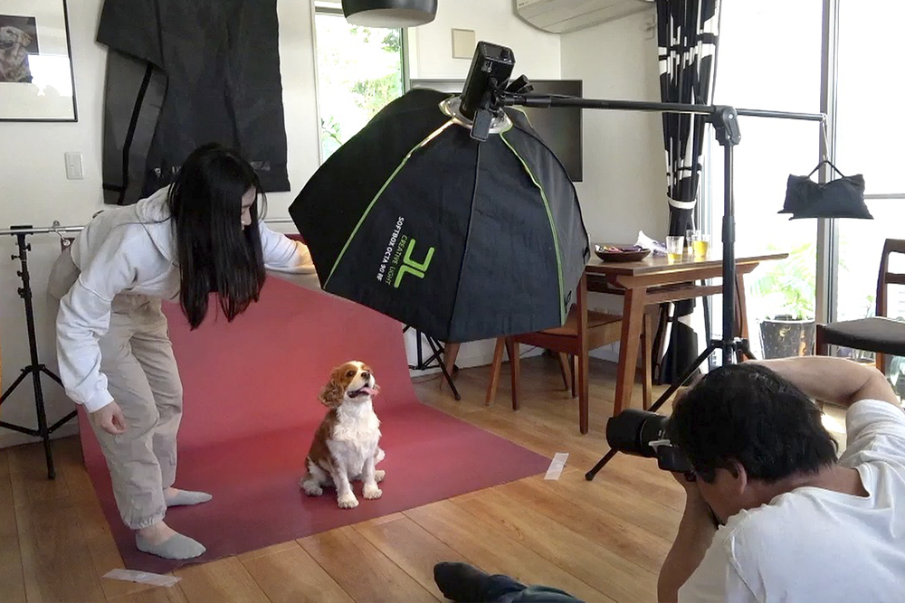 撮影風景イメージ