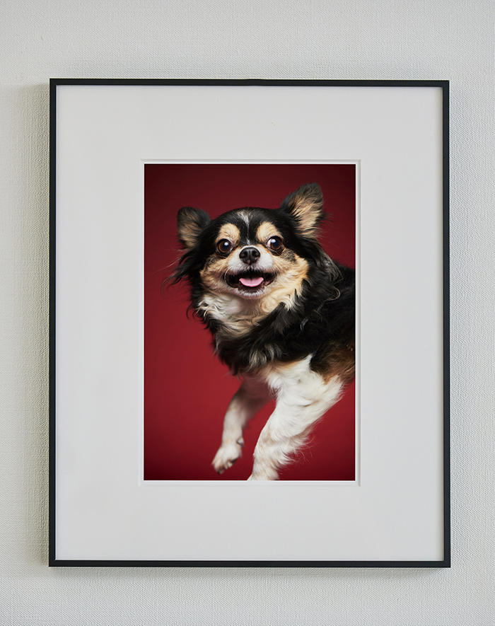 ブラック  スチール製額