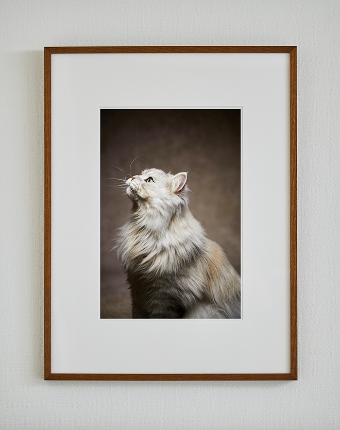 ブラウン  木製額