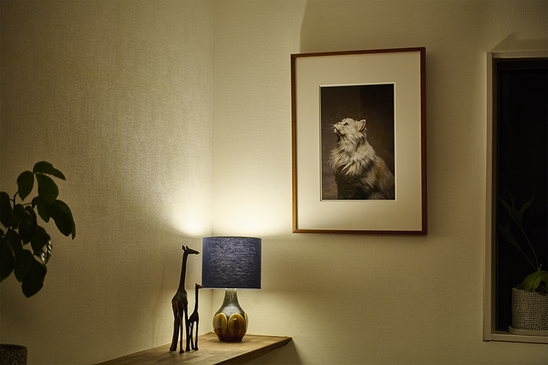 A3 ブラウン額イメージ