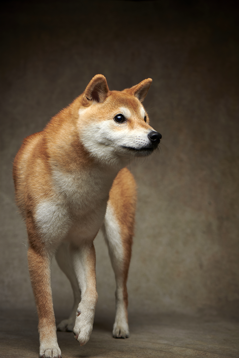 作品イメージ02