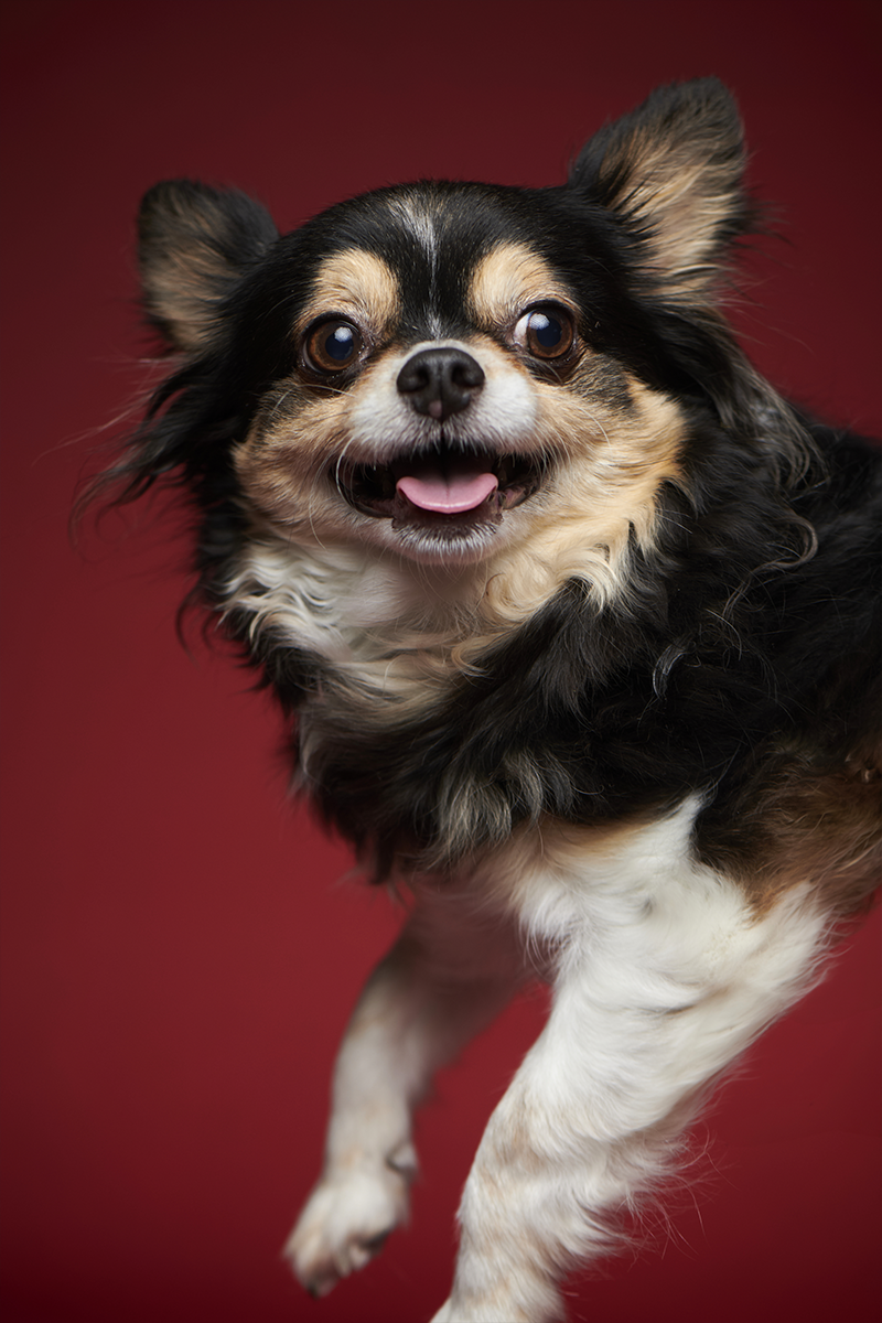 作品イメージ03