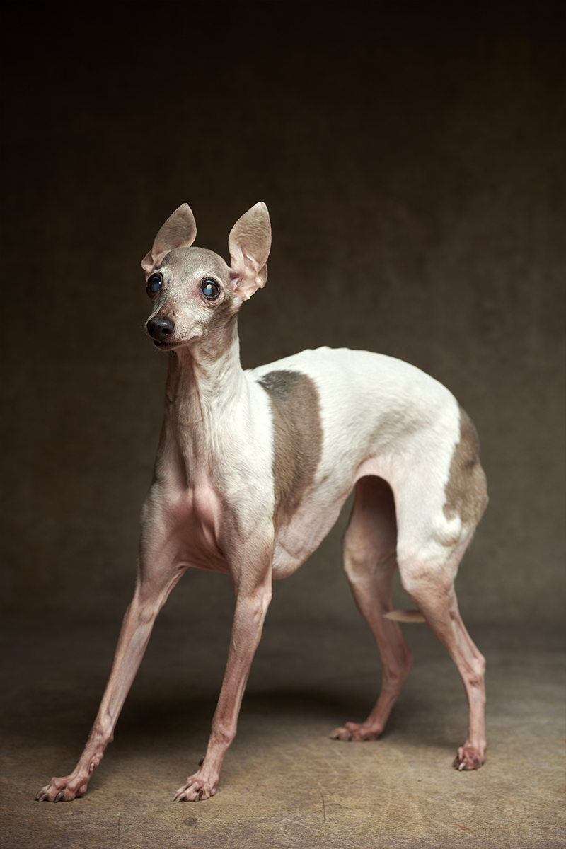 作品イメージ04