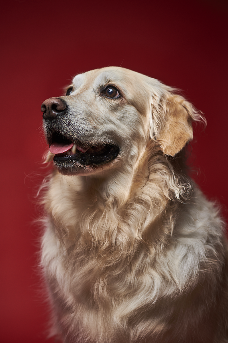 作品イメージ07