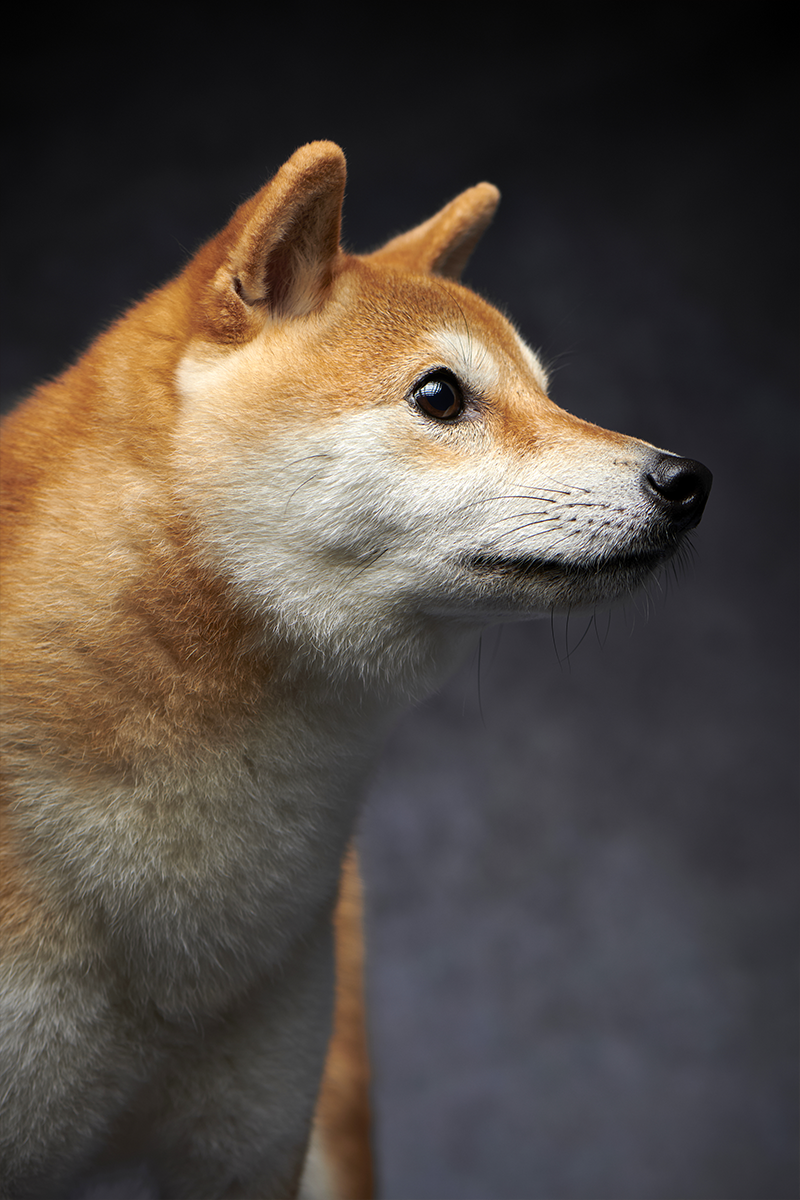 作品イメージ08