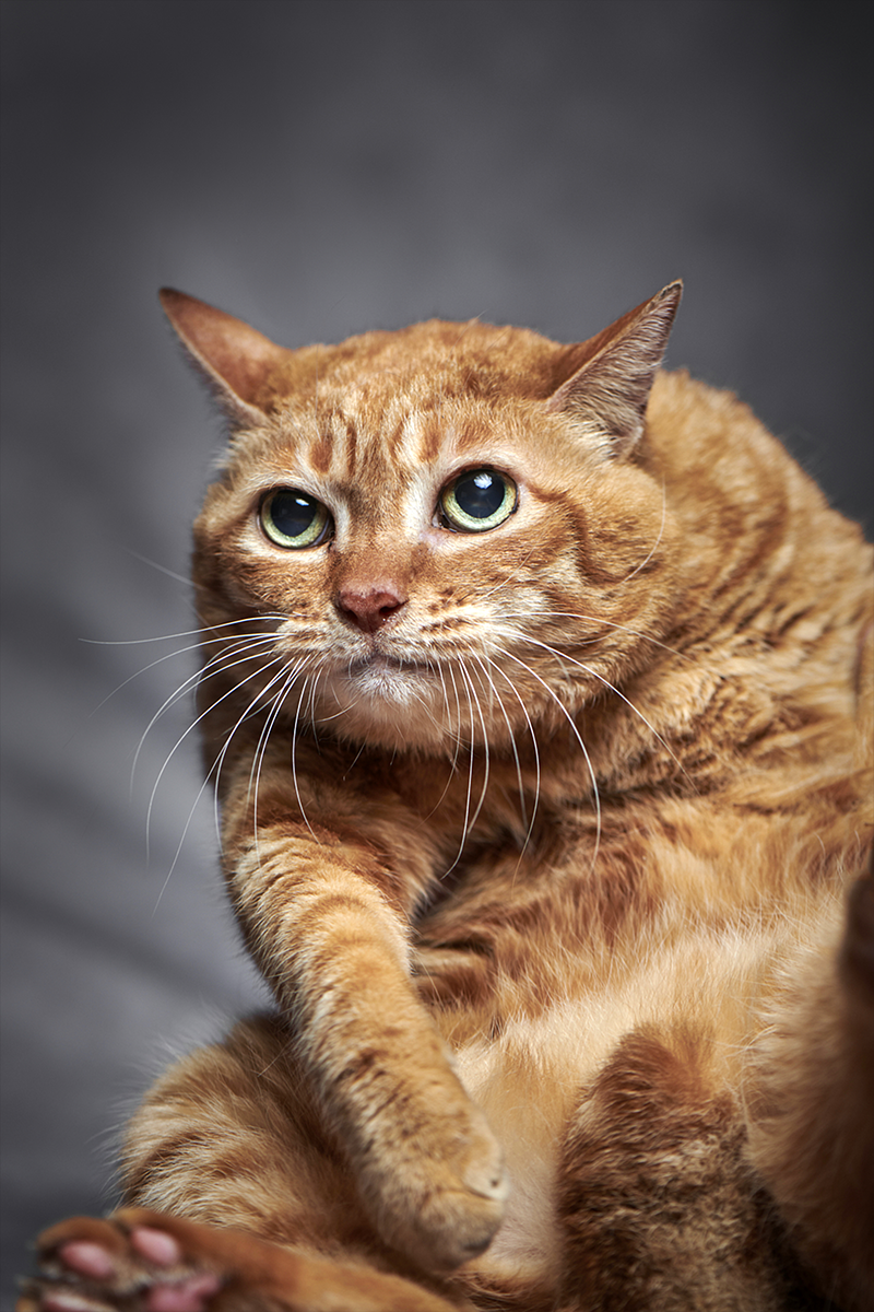 作品イメージ09