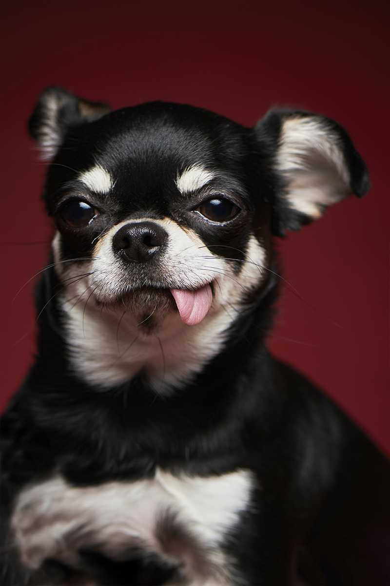 作品イメージ10