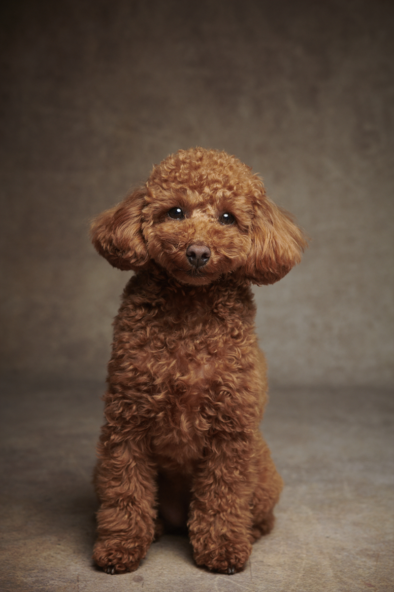 作品イメージ11