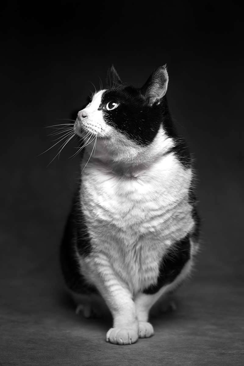 作品イメージ13