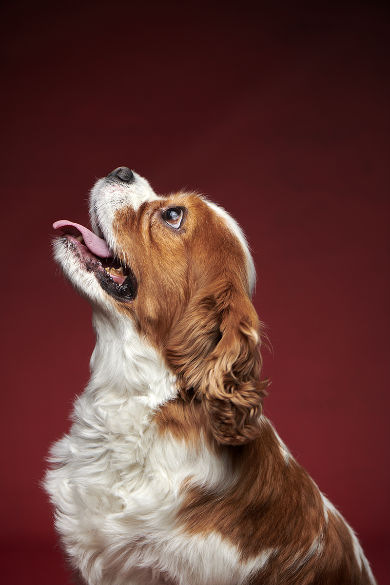 作品イメージ14