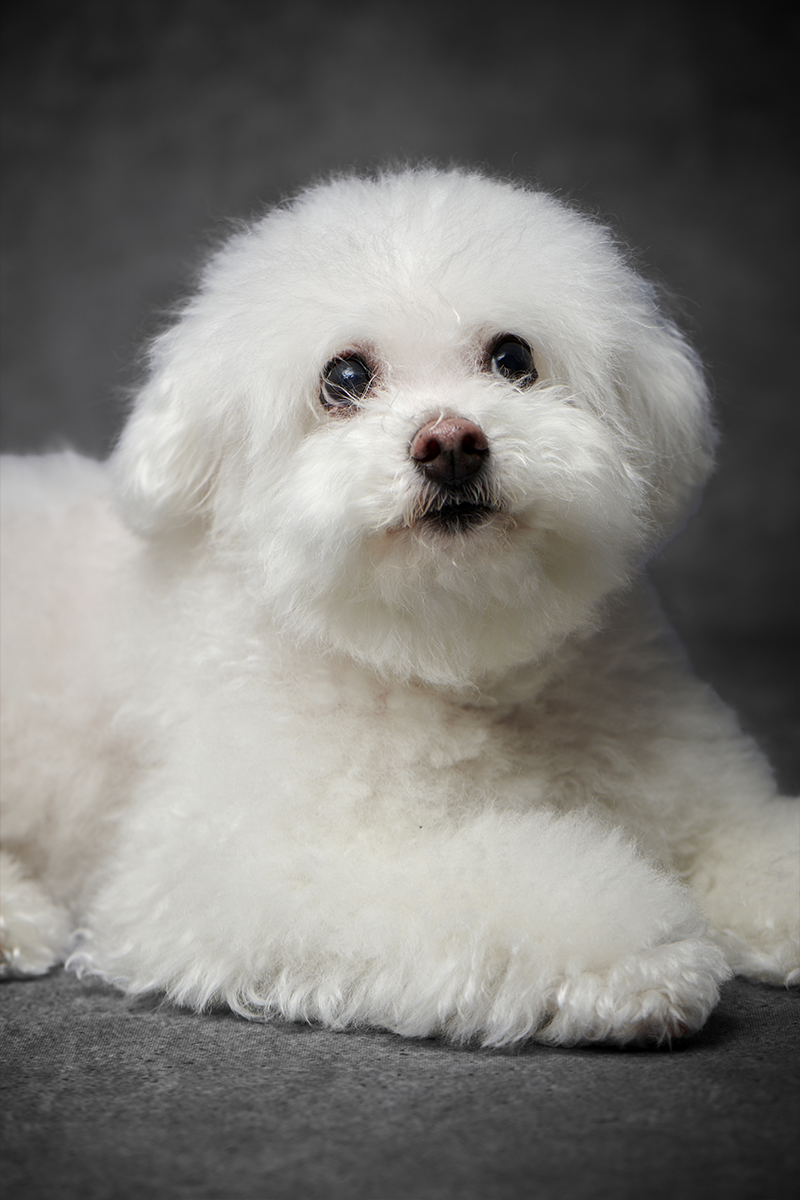 作品イメージ16