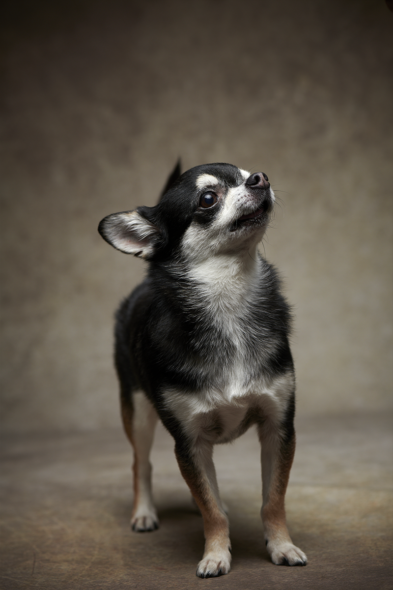 作品イメージ17