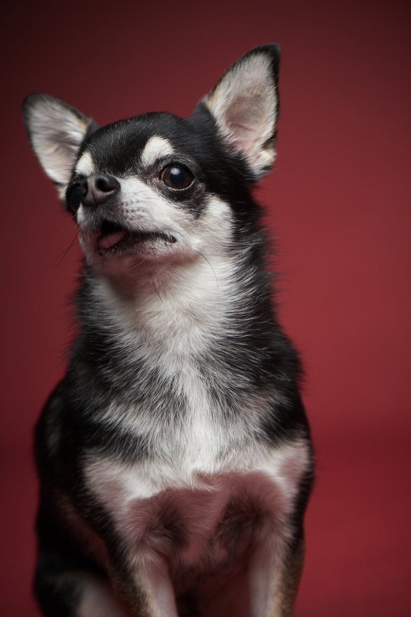 作品イメージ21